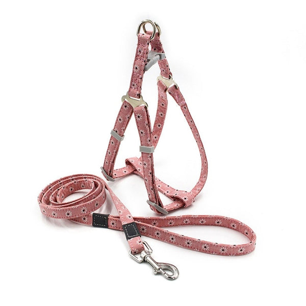 Harness Set with 1.2m Dog Leash