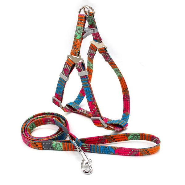 Harness Set with 1.2m Dog Leash