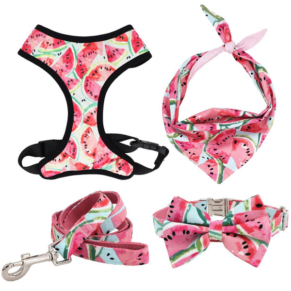 Watermelon Collar Bow Tie  with Metal Buckle