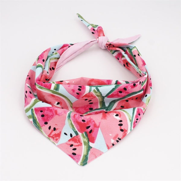 Watermelon Collar Bow Tie  with Metal Buckle