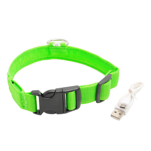 USB Charging Led Collar Anti-Lost/Avoid Car Accident For Puppies