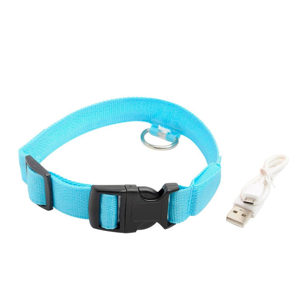 USB Charging Led Collar Anti-Lost/Avoid Car Accident For Puppies