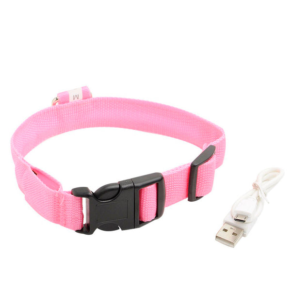 USB Charging Led Collar Anti-Lost/Avoid Car Accident For Puppies