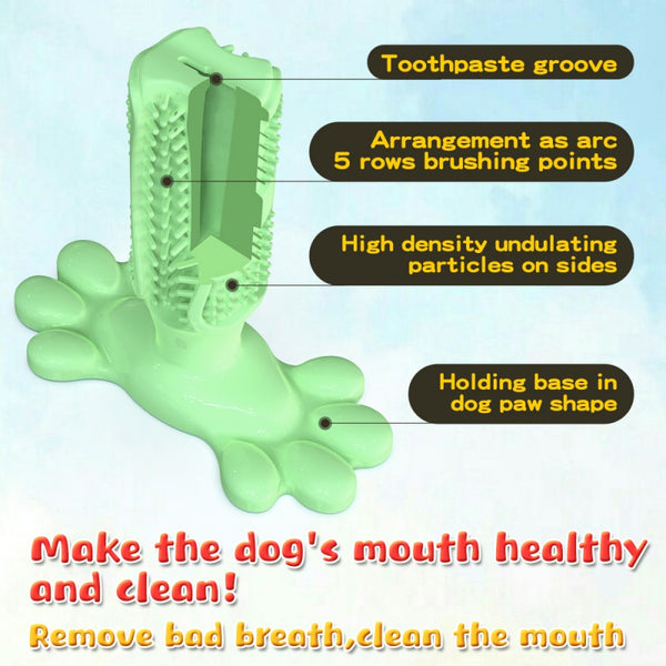 Toothbrush  Toy