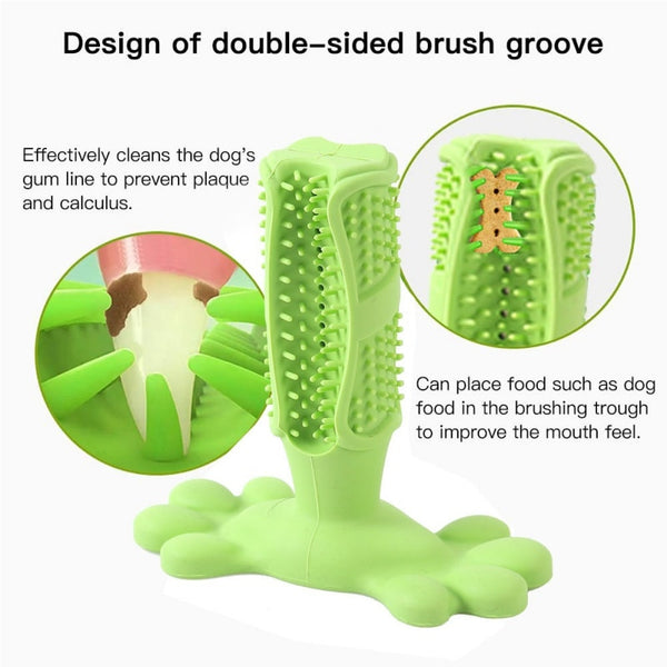 Toothbrush  Toy