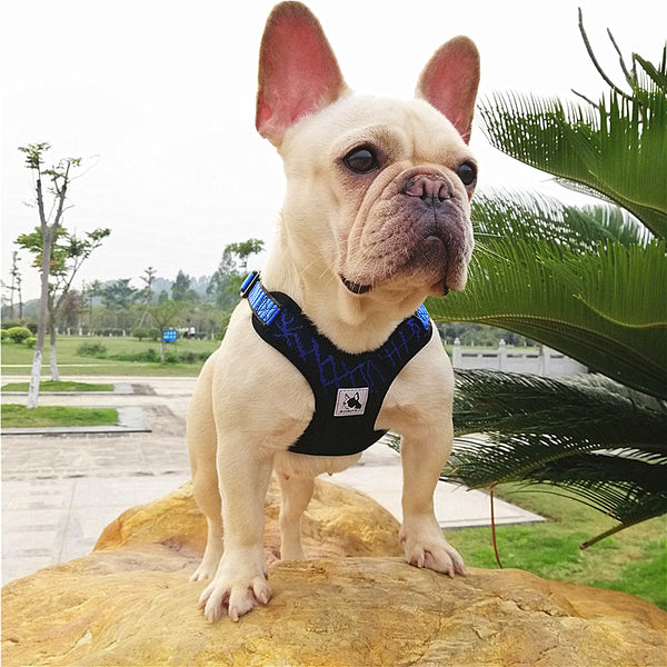 Sport X3 Breathable Harnesses  for  French Bulldog