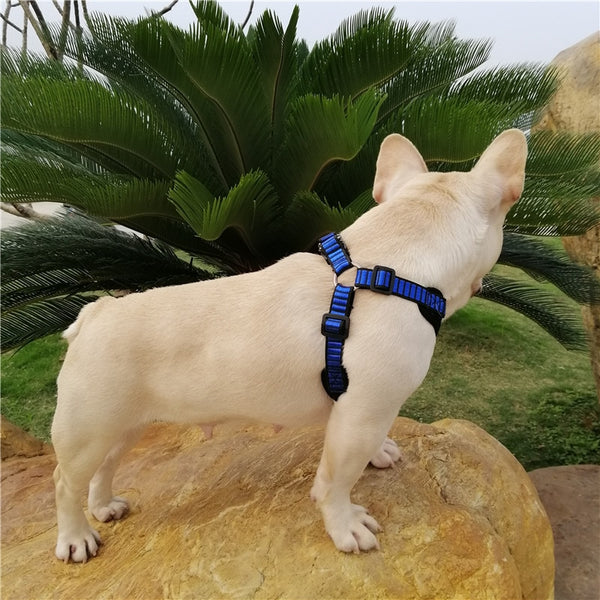 Sport X3 Breathable Harnesses  for  French Bulldog