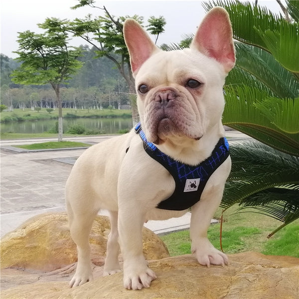 Sport X3 Breathable Harnesses  for  French Bulldog