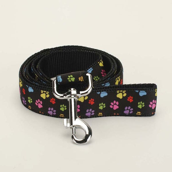 Leash for you Frenchie