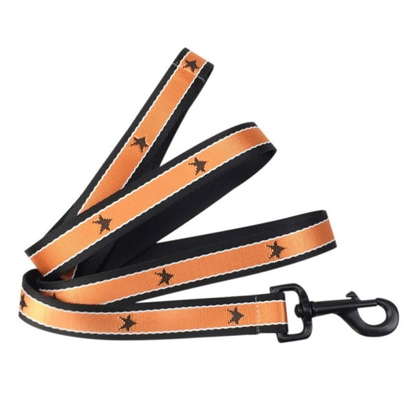 Training Adjustable Harness And Leash For French Bulldog