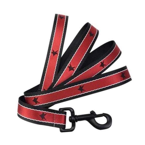 Training Adjustable Harness And Leash For French Bulldog