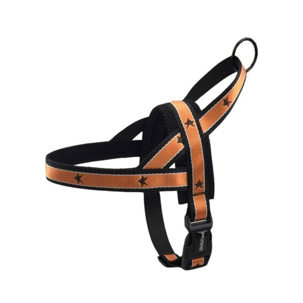 Training Adjustable Harness And Leash For French Bulldog