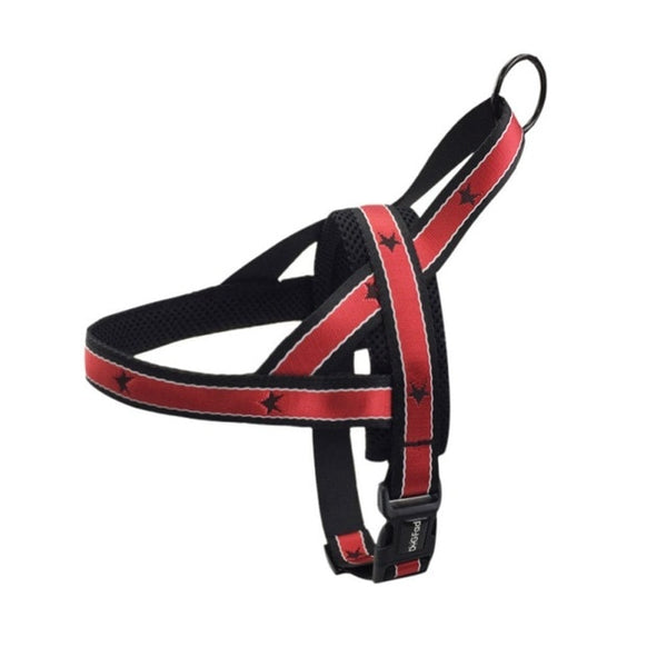 Training Adjustable Harness And Leash For French Bulldog