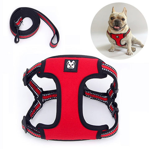 Reflective Harness for French Bulldog