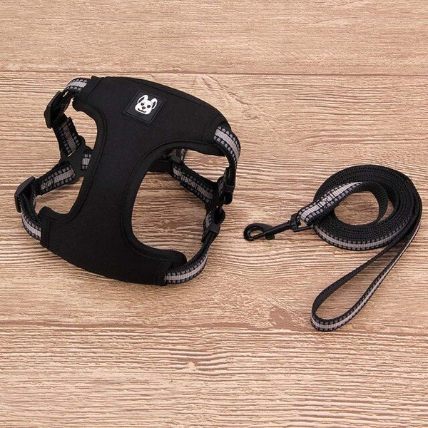 Reflective Harness for French Bulldog