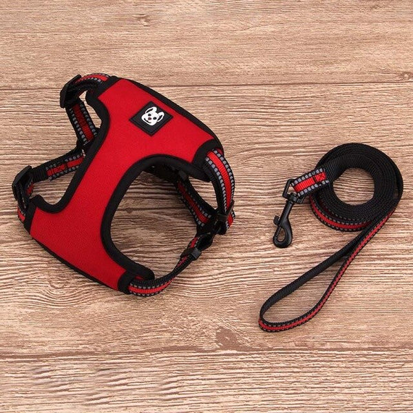 Reflective Harness for French Bulldog