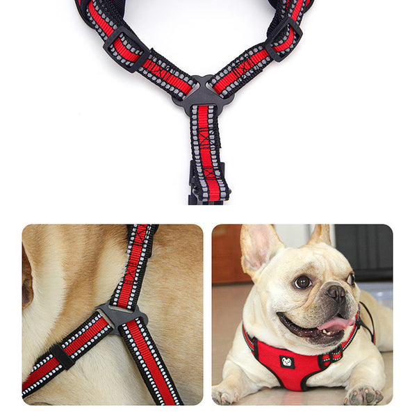 Reflective Harness for French Bulldog