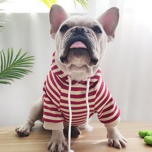 Fashion Hoodie for French Bulldogs