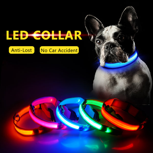 USB Charging Led Collar Anti-Lost/Avoid Car Accident For Puppies