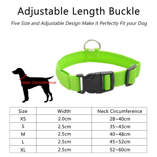 USB Charging Led Collar Anti-Lost/Avoid Car Accident For Puppies