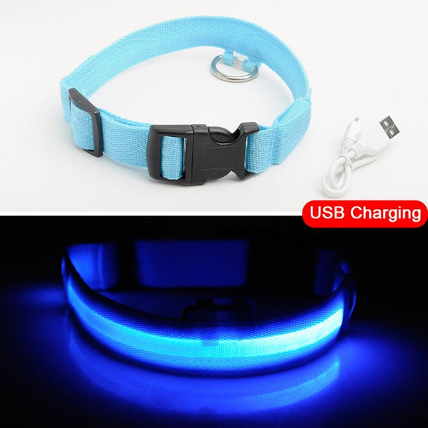 USB Charging Led Collar Anti-Lost/Avoid Car Accident For Puppies