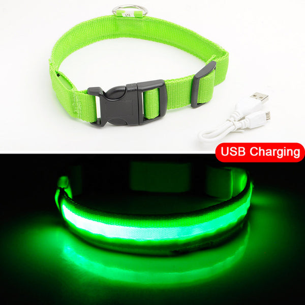 USB Charging Led Collar Anti-Lost/Avoid Car Accident For Puppies