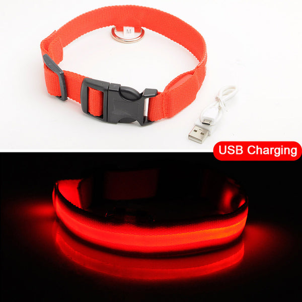 USB Charging Led Collar Anti-Lost/Avoid Car Accident For Puppies