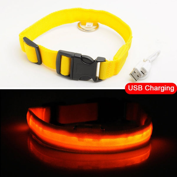 USB Charging Led Collar Anti-Lost/Avoid Car Accident For Puppies