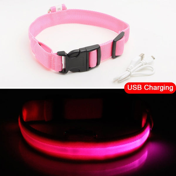 USB Charging Led Collar Anti-Lost/Avoid Car Accident For Puppies