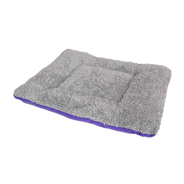 Bed For French Bulldog