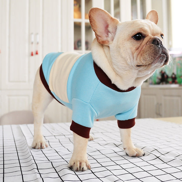 French Bulldog Shirt