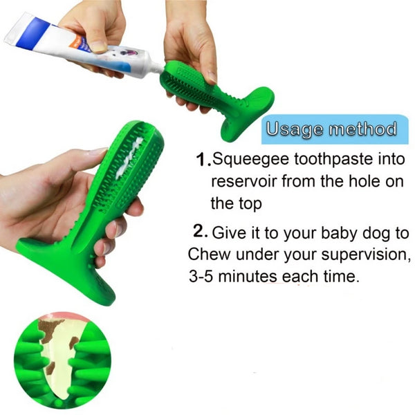 Toothbrush  Toy