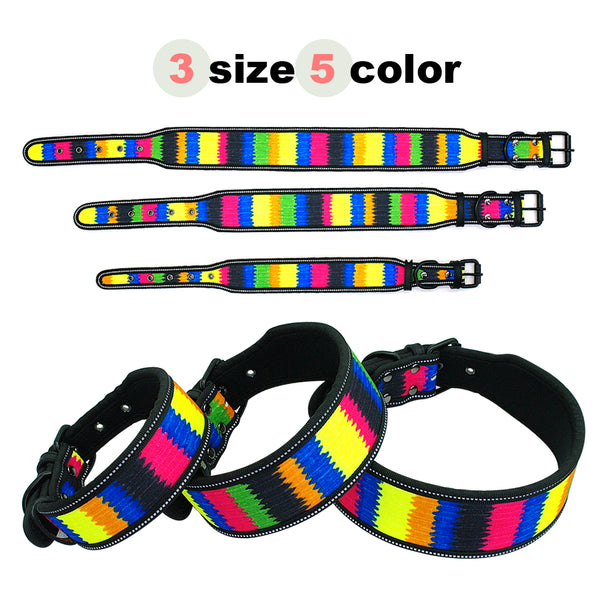 Collar For your Frenchie