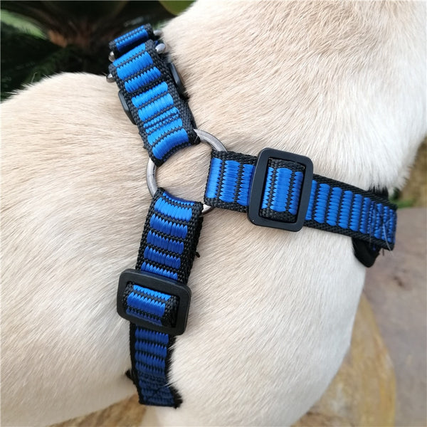 Sport X3 Breathable Harnesses  for  French Bulldog