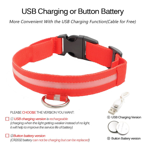 USB Charging Led Collar Anti-Lost/Avoid Car Accident For Puppies