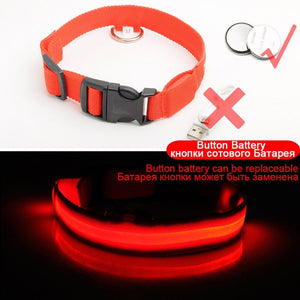 USB Charging Led Collar Anti-Lost/Avoid Car Accident For Puppies