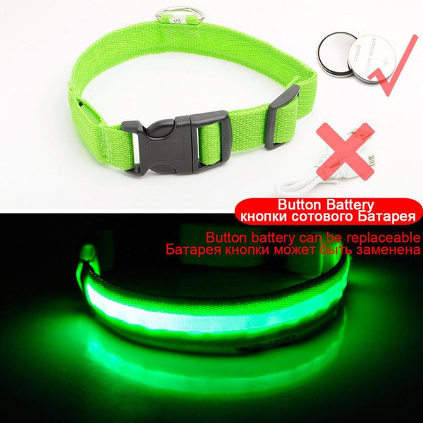 USB Charging Led Collar Anti-Lost/Avoid Car Accident For Puppies