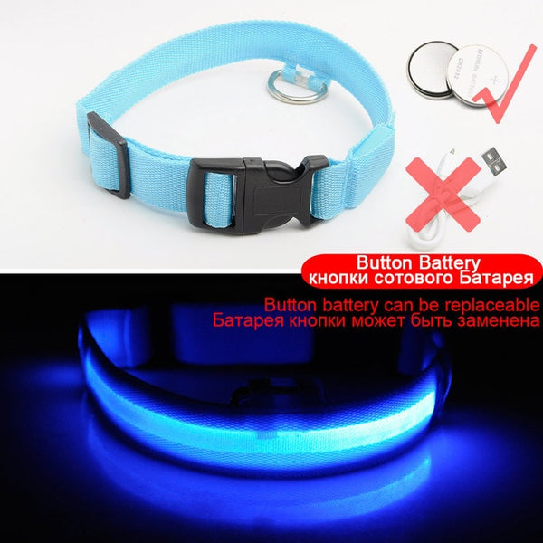 USB Charging Led Collar Anti-Lost/Avoid Car Accident For Puppies