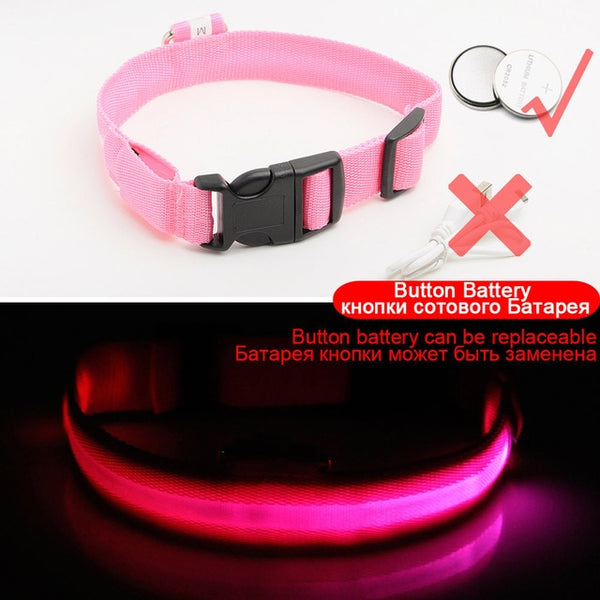 USB Charging Led Collar Anti-Lost/Avoid Car Accident For Puppies