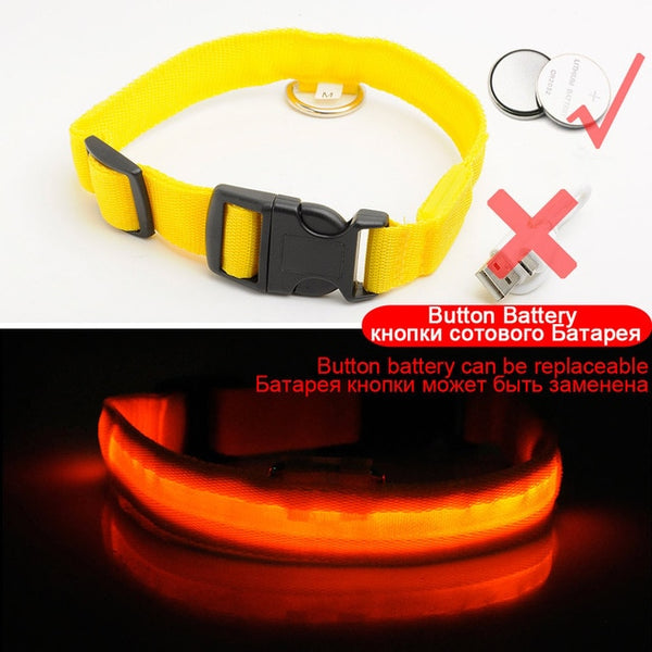 USB Charging Led Collar Anti-Lost/Avoid Car Accident For Puppies